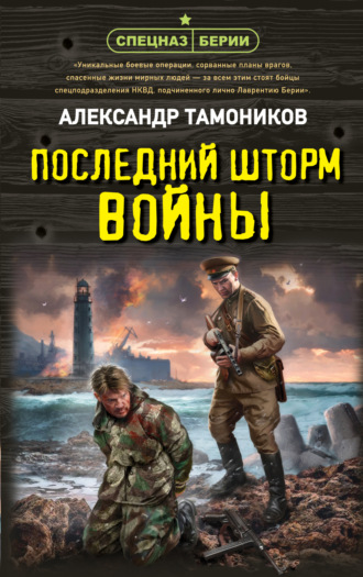 Александр Тамоников, Последний шторм войны